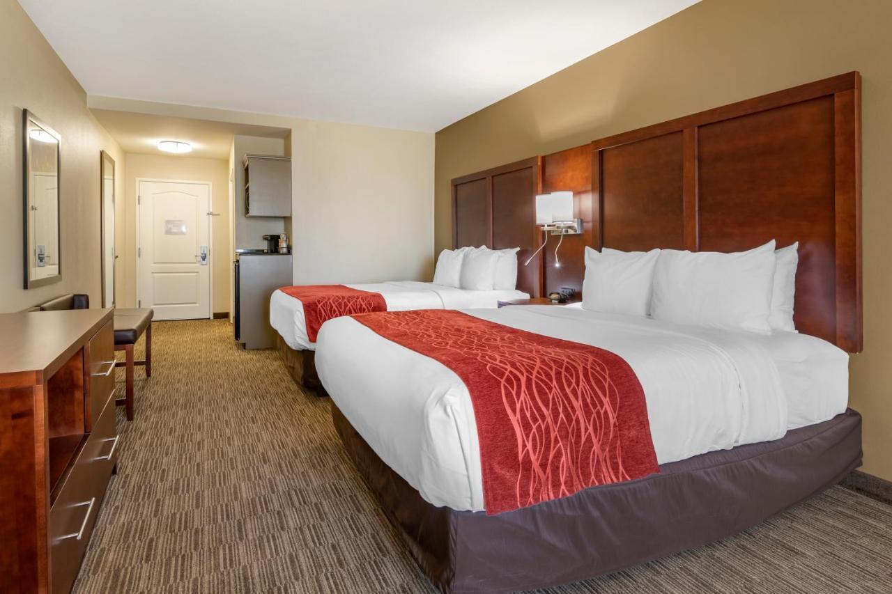 Comfort Inn & Suites Tifton Rum bild