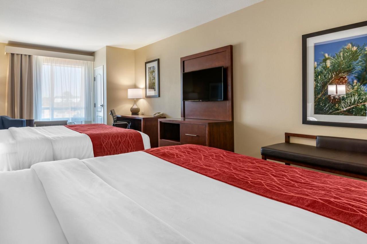 Comfort Inn & Suites Tifton Rum bild